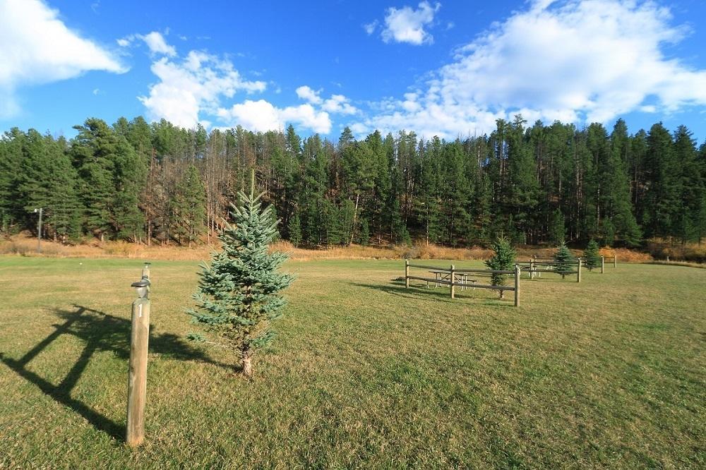 Black Elk Resort Хилл-Сити Номер фото